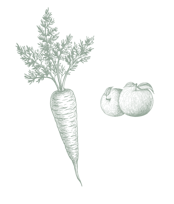 légumes saisons bio