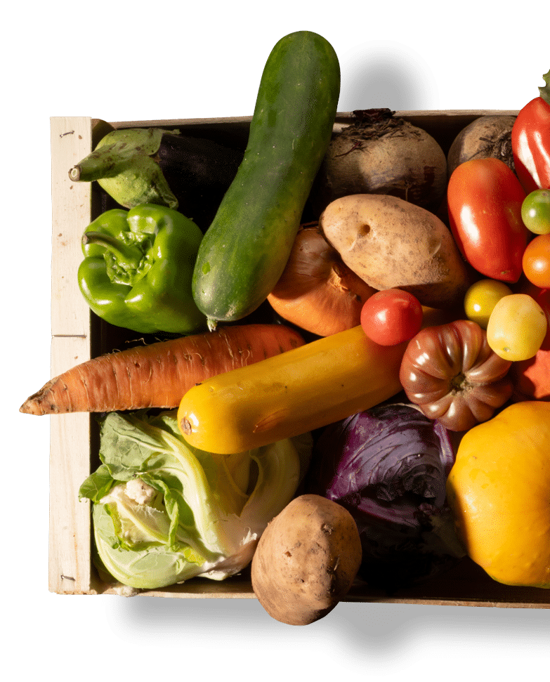 légumes paniers marché paysan