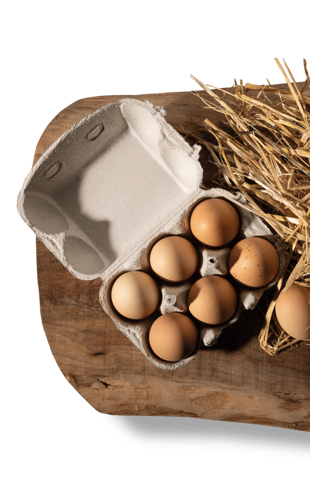 oeufs producteurs bio