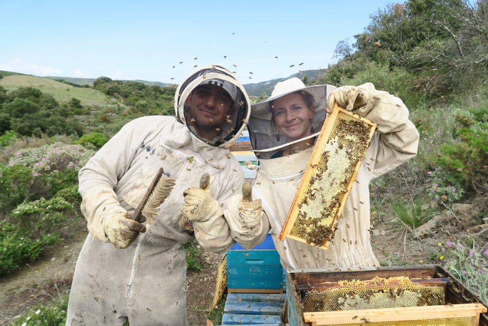 Le Rucher de Massebiau