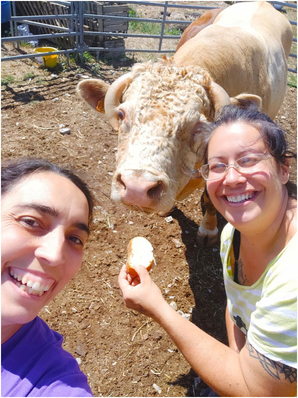 Ferme des licornes d’Aphrosy