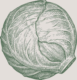 légumes aveyron produits choux