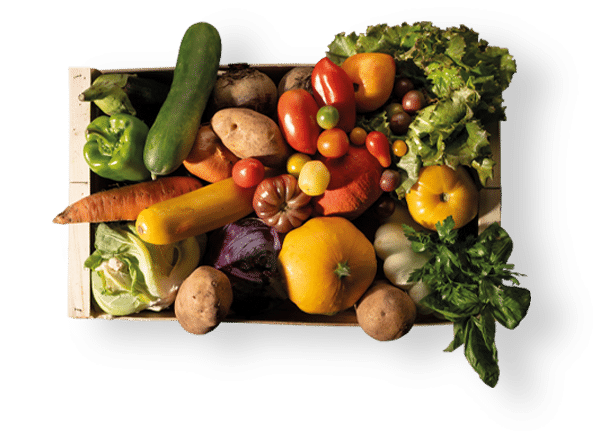 Légumes aveyron marché paysan