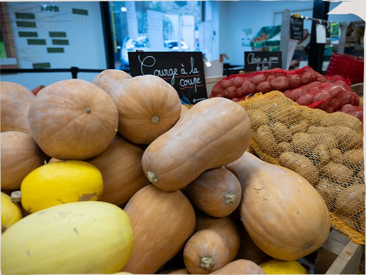 marché paysan courges
