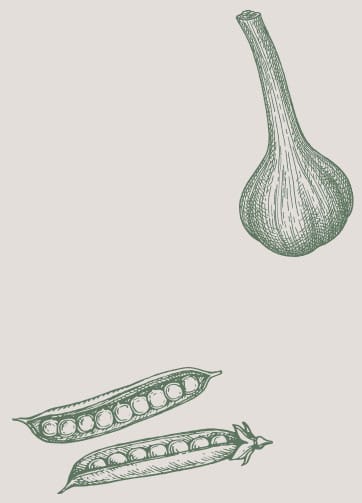 marché paysan boutique millau