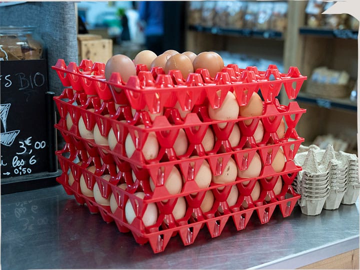 oeufs légumes producteurs