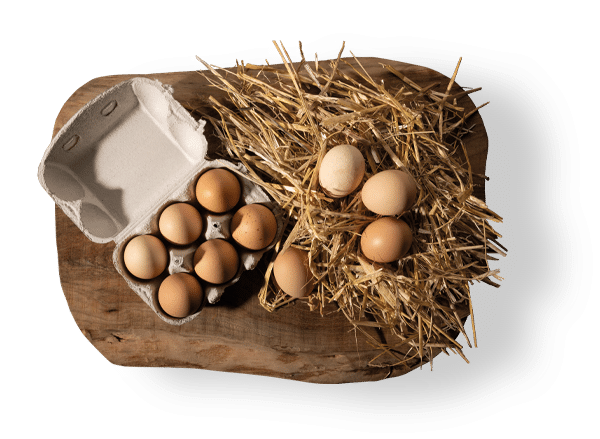 oeufs producteurs bio aveyron