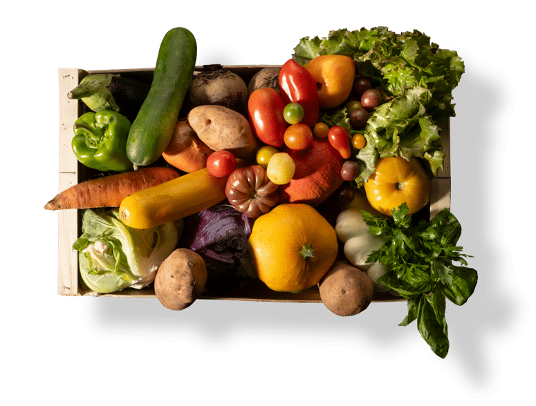 légumes marché producteurs Aveyron