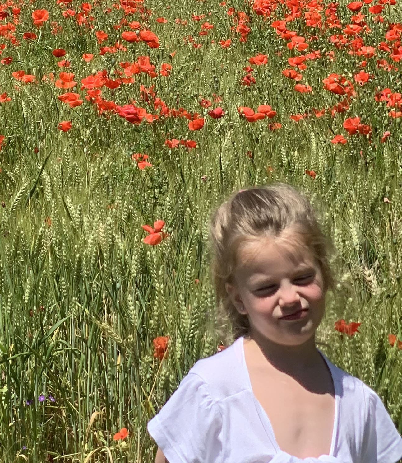 Le Jardin des Sybarites