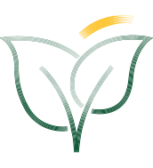 respect environnement