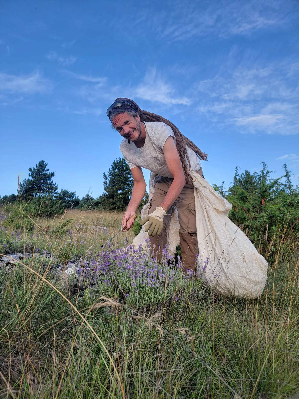 Les Jardins du Mercie