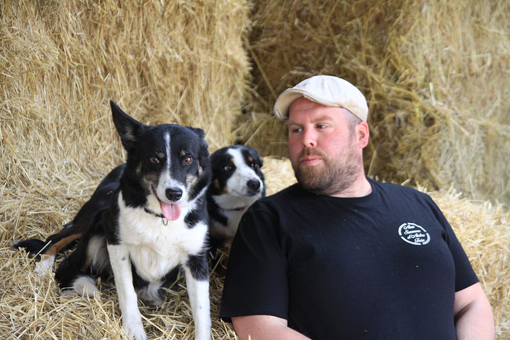 Aux saveurs d’autre foie